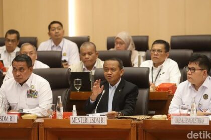 Rapat kerja DPR RI